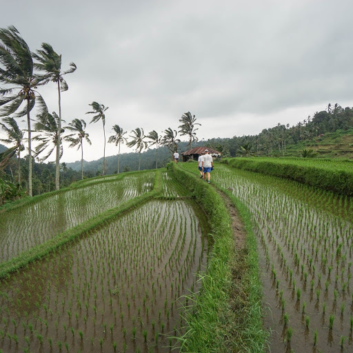 Bali